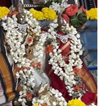 Shivaratri Celebrations at Chinmaya Narayan Zone