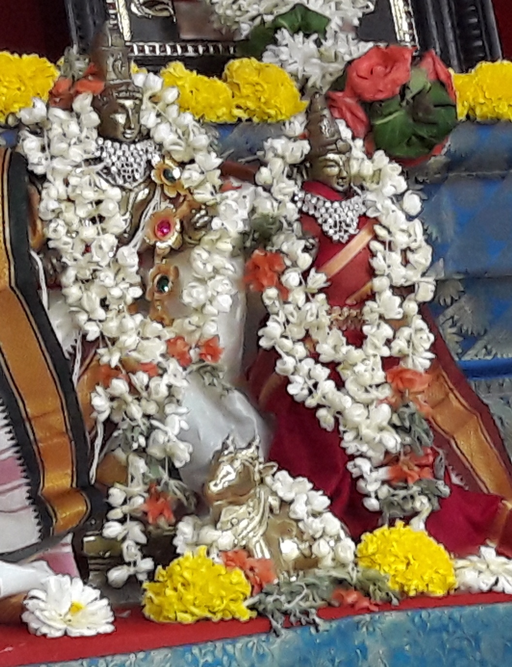 Shivratri_Narayana_2019_