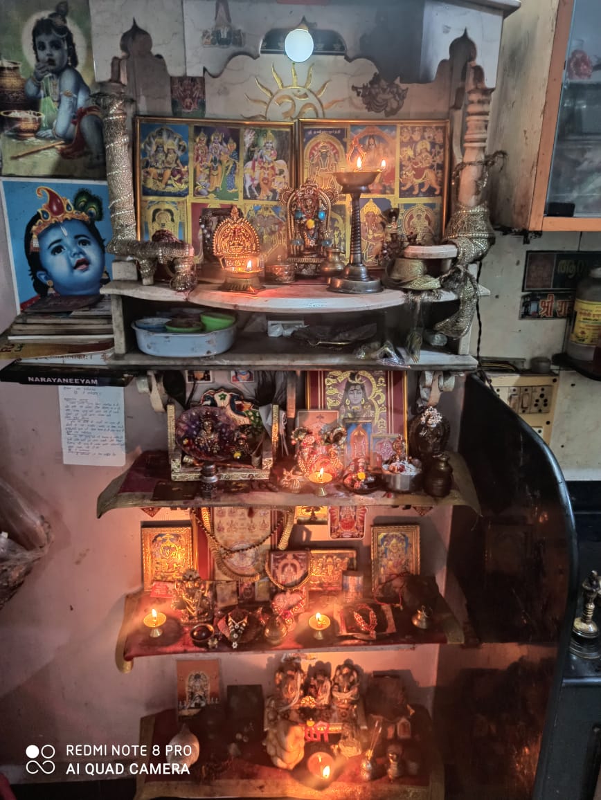 Ram Janma Bhoomi Pujan